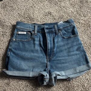 Size 26 Calvin Klein Midi Short